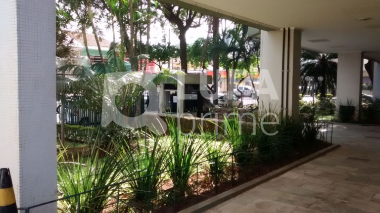 Imagem Apartamento com 3 Quartos à Venda, 80 m² em Vila Guilherme - São Paulo Imagem Apartamento com 3 Quartos à Venda, 80 m² em Vila Guilherme - São Paulo