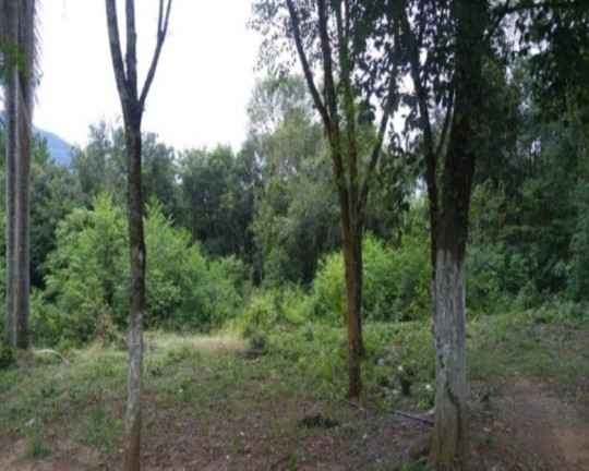Imagem Imóvel com 8 Quartos à Venda, 330 m² em Nova Palmira - Caxias Do Sul Imagem Imóvel com 8 Quartos à Venda, 330 m² em Nova Palmira - Caxias Do Sul