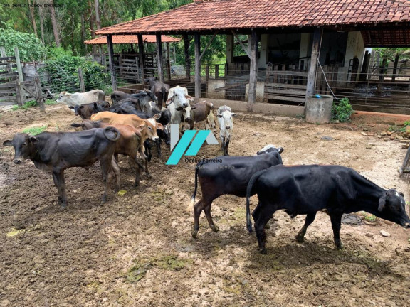 Imagem Fazenda à Venda, 30 m² em Azurita - Mateus Leme Imagem Fazenda à Venda, 30 m² em Azurita - Mateus Leme