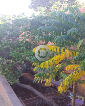 Imagem Casa com 3 Quartos à Venda, 160 m² em São Lucas - Montes Claros