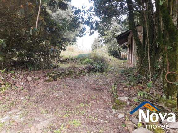 Imagem Imóvel à Venda, 120.000 m² em Linha Pirajá Baixa - Nova Petrópolis Imagem Imóvel à Venda, 120.000 m² em Linha Pirajá Baixa - Nova Petrópolis