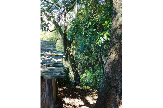 Imagem Terreno à Venda, em Camaquã - Porto Alegre Imagem Terreno à Venda, em Camaquã - Porto Alegre