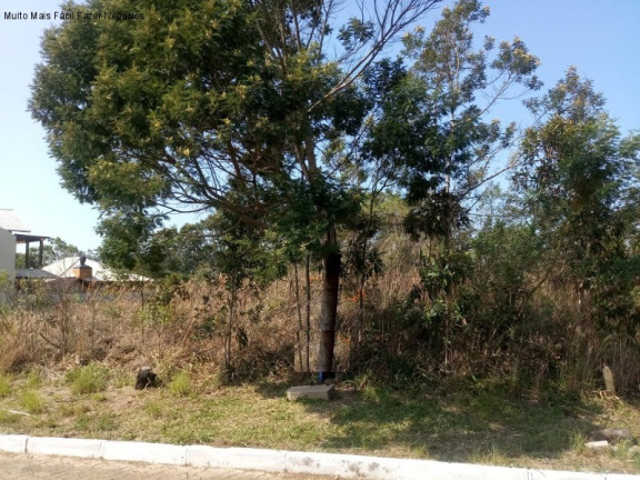 Imagem Terreno à Venda, 550 m² em Pousada Da Neve - Nova Petrópolis Imagem Terreno à Venda, 550 m² em Pousada Da Neve - Nova Petrópolis