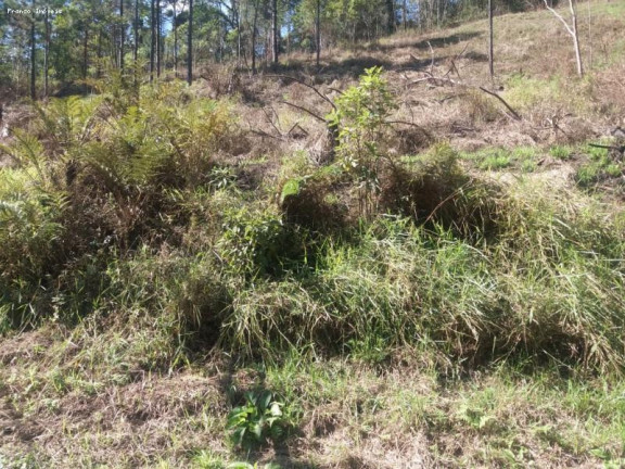 Imagem Terreno à Venda, 6.765 m² em Ouro Fino Paulista - Ribeirão Pires Imagem Terreno à Venda, 6.765 m² em Ouro Fino Paulista - Ribeirão Pires