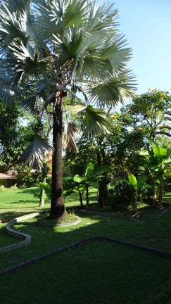 Imagem Casa de Condomínio com 6 Quartos à Venda, 1.593 m² em Barra Da Tijuca - Rio De Janeiro Imagem Casa de Condomínio com 6 Quartos à Venda, 1.593 m² em Barra Da Tijuca - Rio De Janeiro