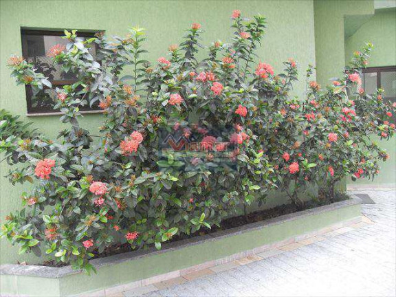 Imagem Apartamento com 3 Quartos à Venda ou Locação, 110 m² em Enseada - Guarujá Imagem Apartamento com 3 Quartos à Venda ou Locação, 110 m² em Enseada - Guarujá