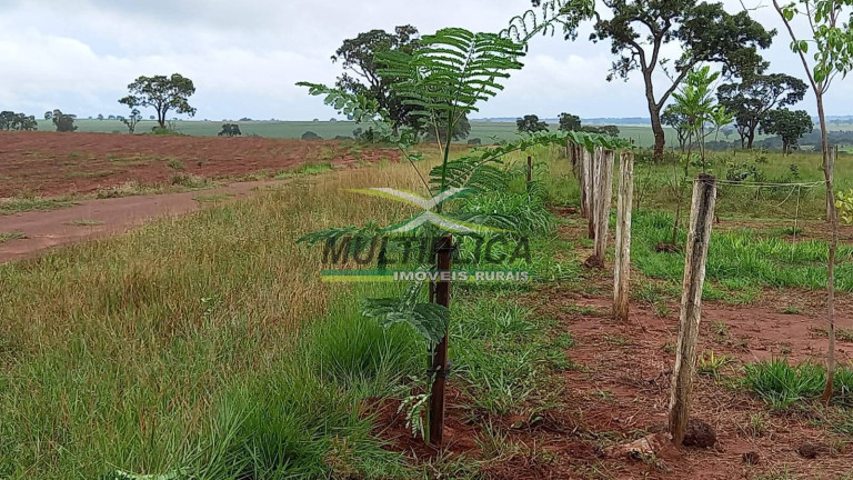 Imagem Fazenda à Venda, 53 m² em Itapagipe Imagem Fazenda à Venda, 53 m² em Itapagipe