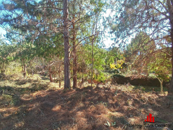 Imagem Terreno à Venda, 1.050 m² em Vale Encantado - Campos Do Jordão Imagem Terreno à Venda, 1.050 m² em Vale Encantado - Campos Do Jordão