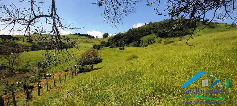 Imagem Chácara à Venda, 24 m² em Centro - Paraisópolis Imagem Chácara à Venda, 24 m² em Centro - Paraisópolis