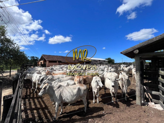 Imagem Imóvel à Venda, 52 m² em Rural - Araruama Imagem Imóvel à Venda, 52 m² em Rural - Araruama