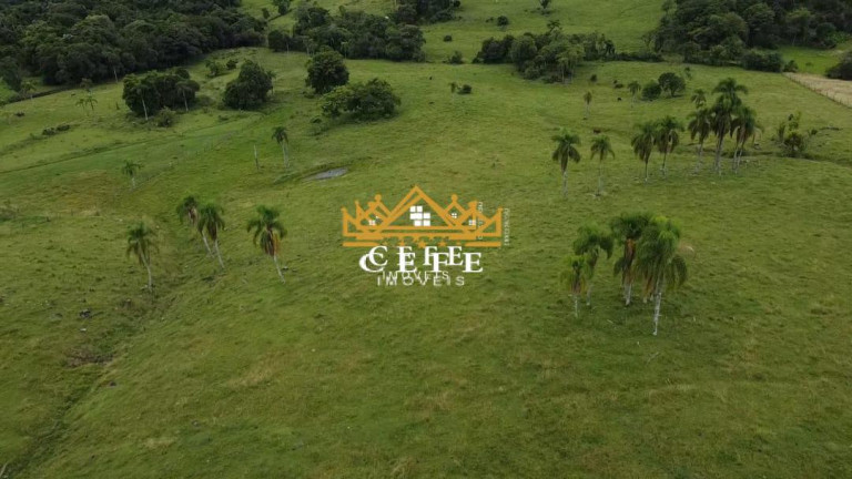Imagem Imóvel à Venda, 20 m² em Zona Rural - Igrejinha Imagem Imóvel à Venda, 20 m² em Zona Rural - Igrejinha