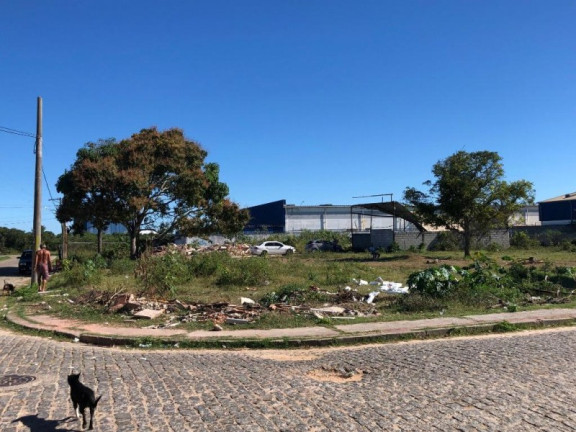 Imagem Terreno à Venda, 5.000 m² em Lagomar - Macaé Imagem Terreno à Venda, 5.000 m² em Lagomar - Macaé
