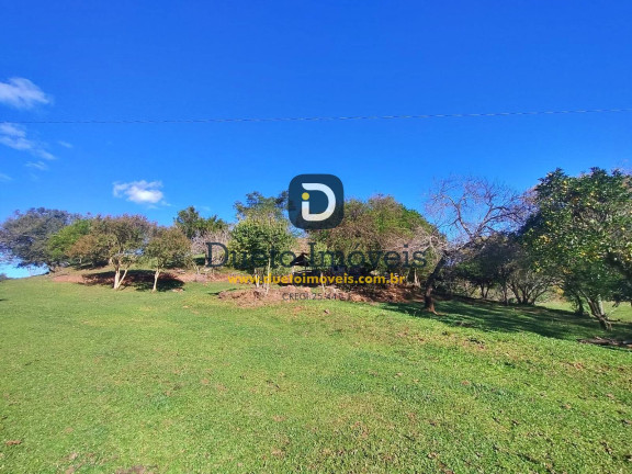 Imagem Chácara com 3 Quartos à Venda,  em São Pedro Do Sul