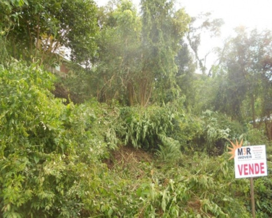 Imagem Terreno à Venda, 743 m² em Juriti - Nova Petrópolis