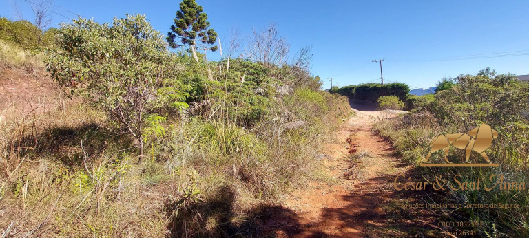 Imagem Terreno à Venda, 8.940 m² em Pedra Do Fogo - Campos Do Jordão Imagem Terreno à Venda, 8.940 m² em Pedra Do Fogo - Campos Do Jordão