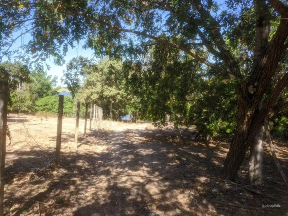 Imagem Chácara com 2 Quartos à Venda, 3.870 m² em área Rural De Lins - Lins Imagem Chácara com 2 Quartos à Venda, 3.870 m² em área Rural De Lins - Lins