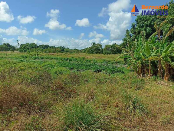 Imagem Chácara à Venda, 145 m² em Coqueiro Do Lagamar - Pindoretama Imagem Chácara à Venda, 145 m² em Coqueiro Do Lagamar - Pindoretama