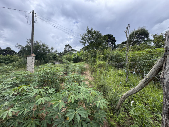 Imagem Imóvel à Venda, 5.500 m² em Rio Da Várzea - Quitandinha Imagem Imóvel à Venda, 5.500 m² em Rio Da Várzea - Quitandinha
