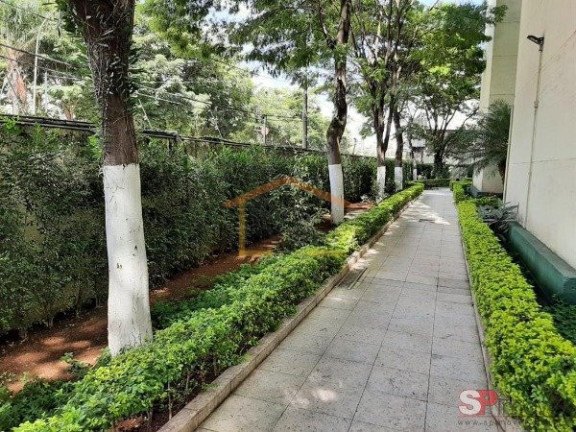Imagem Apartamento com 2 Quartos à Venda, 49 m² em Imirim - São Paulo Imagem Apartamento com 2 Quartos à Venda, 49 m² em Imirim - São Paulo