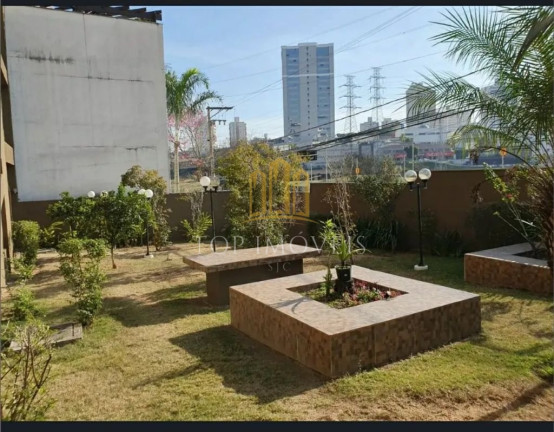 Imagem Apartamento com 2 Quartos para Alugar, 52 m² em Jardim Oswaldo Cruz - São José Dos Campos Imagem Apartamento com 2 Quartos para Alugar, 52 m² em Jardim Oswaldo Cruz - São José Dos Campos
