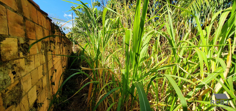 Imagem Terreno à Venda, 980 m² em Fernão Dias - Esmeraldas Imagem Terreno à Venda, 980 m² em Fernão Dias - Esmeraldas