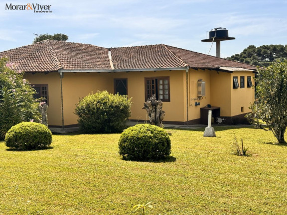 Imagem Chácara com 4 Quartos à Venda, 7.700 m² em Loteamento Chácara Chantecler - Piraquara Imagem Chácara com 4 Quartos à Venda, 7.700 m² em Loteamento Chácara Chantecler - Piraquara
