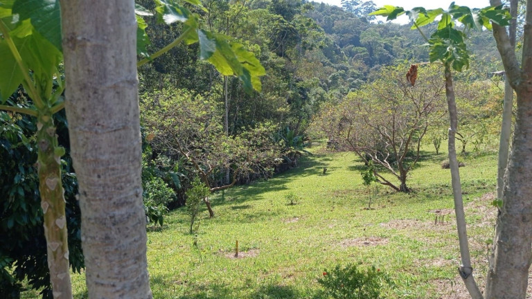 Imagem Chácara com 1 Quarto à Venda, 100 m² em Centro - Santa Branca Imagem Chácara com 1 Quarto à Venda, 100 m² em Centro - Santa Branca