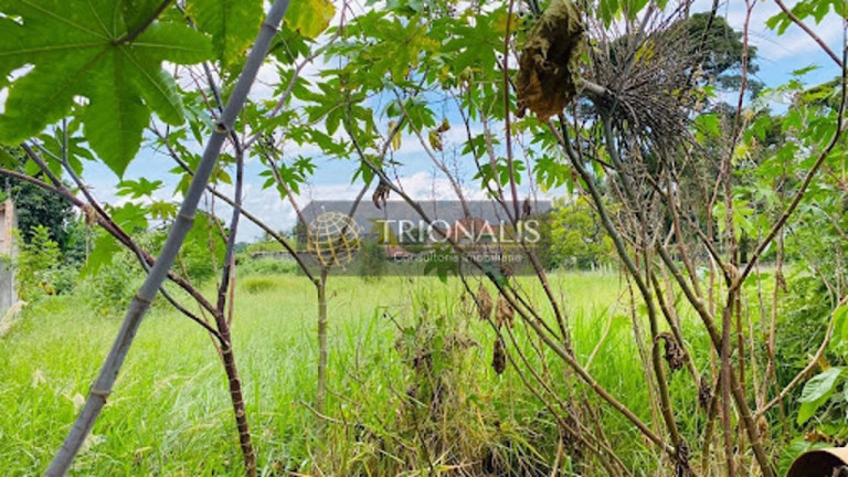 Imagem Terreno à Venda, 1.200 m² em Nova Gardênia - Atibaia Imagem Terreno à Venda, 1.200 m² em Nova Gardênia - Atibaia