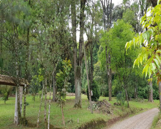 Imagem Imóvel à Venda, 4.604 m² em Linha Imperial - Nova Petrópolis