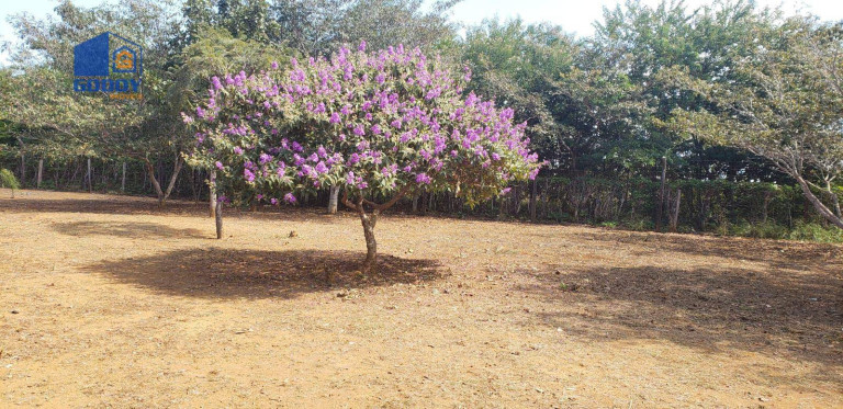 Imagem Chácara com 2 Quartos à Venda, 300 m² em Zona Rural - Chapada Dos Guimarães