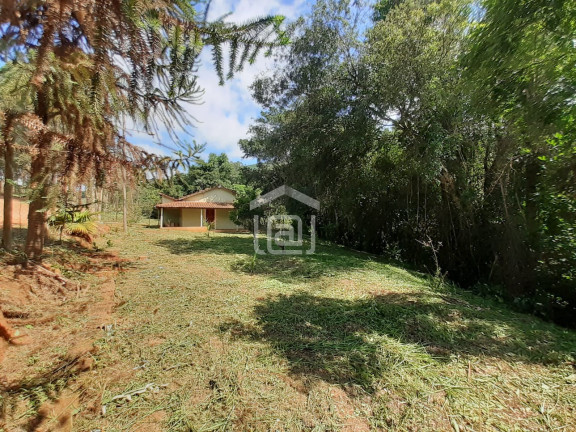 Imagem Imóvel com 2 Quartos à Venda, 7.000 m² em Pião (rural) - Campestre