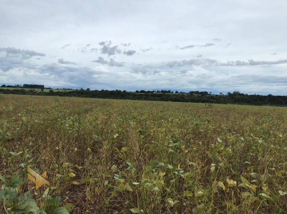 Imagem Chácara com 3 Quartos à Venda, 94.000 m² em Zona Rural - Sidrolândia Imagem Chácara com 3 Quartos à Venda, 94.000 m² em Zona Rural - Sidrolândia