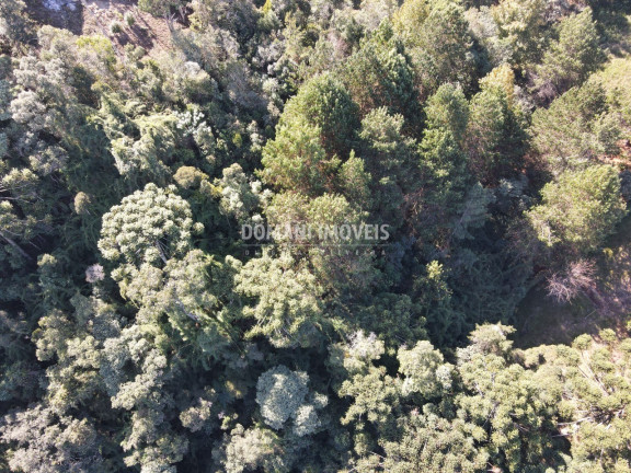 Imagem Terreno à Venda, 4.300 m² em Região Do Alto Da Boa Vista - Campos Do Jordão Imagem Terreno à Venda, 4.300 m² em Região Do Alto Da Boa Vista - Campos Do Jordão