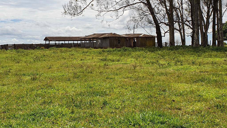 Fazenda à Venda,  em Primavera Do Leste