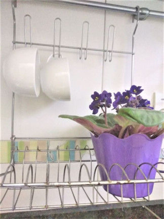 Imagem Apartamento com 1 Quarto à Venda, 35 m² em Jardim Paulista - São Paulo Imagem Apartamento com 1 Quarto à Venda, 35 m² em Jardim Paulista - São Paulo