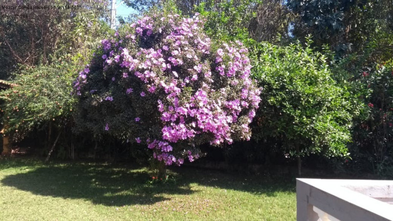 Imagem Imóvel com 3 Quartos à Venda, 2.300 m² em Jardim Colonial 1 - Araçoiaba Da Serra Imagem Imóvel com 3 Quartos à Venda, 2.300 m² em Jardim Colonial 1 - Araçoiaba Da Serra