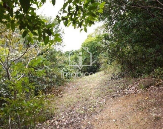 Imagem Terreno à Venda, 66.378 m² em Vila De Abrantes (abrantes) - Camaçari