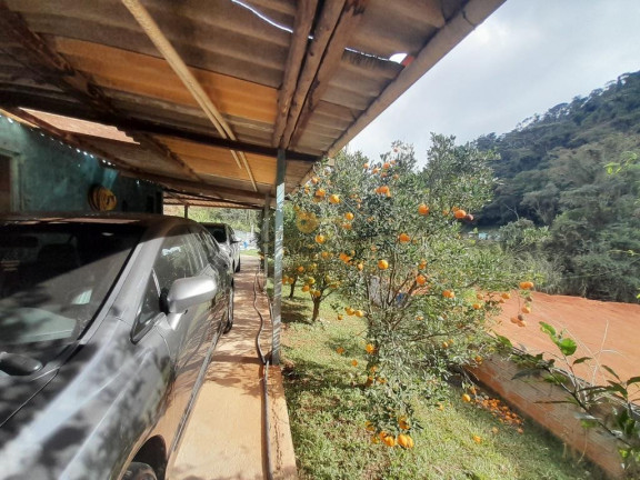 Imagem Casa com 3 Quartos à Venda, 675 m² em Campo Limpo - Teresópolis Imagem Casa com 3 Quartos à Venda, 675 m² em Campo Limpo - Teresópolis
