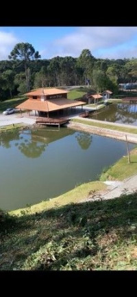 Imagem Fazenda à Venda, em Imbuial - Campina Grande Do Sul Imagem Fazenda à Venda, em Imbuial - Campina Grande Do Sul