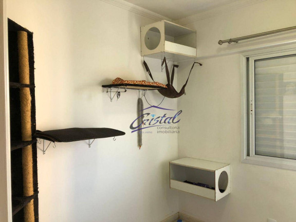 Imagem Apartamento com 2 Quartos à Venda ou Locação, 62 m² em Butantã - São Paulo Imagem Apartamento com 2 Quartos à Venda ou Locação, 62 m² em Butantã - São Paulo
