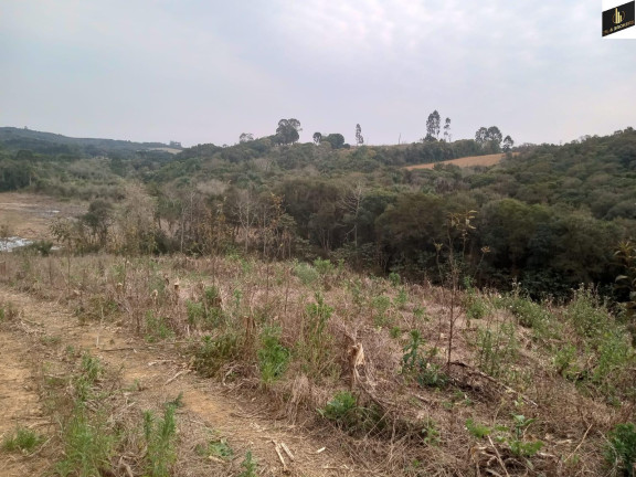 Imagem Imóvel à Venda, 96.800 m² em Colonia Marcelino - São José Dos Pinhais