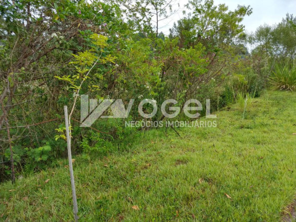 Imagem Imóvel à Venda, 321 m² em Jardim Panorã¢mico - Estancia Velha Imagem Imóvel à Venda, 321 m² em Jardim Panorã¢mico - Estancia Velha