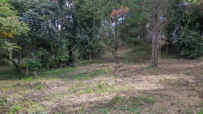 Imagem Terreno à Venda, 21.000 m² em Chácaras Alpina - Valinhos