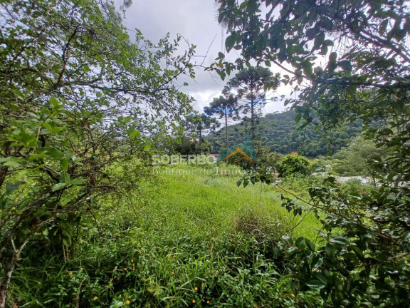 Imagem Imóvel com 3 Quartos à Venda, 16.000 m² em Vargem Grande - Teresópolis Imagem Imóvel com 3 Quartos à Venda, 16.000 m² em Vargem Grande - Teresópolis