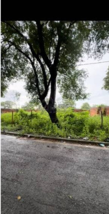Imagem Terreno à Venda, 202 m² em Reserva Real - Montes Claros Imagem Terreno à Venda, 202 m² em Reserva Real - Montes Claros