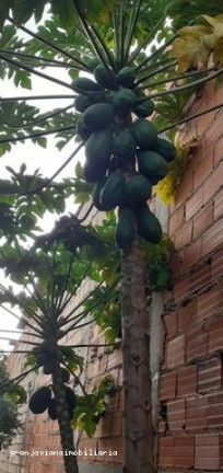 Imagem Chácara à Venda,  em Bairro Altos De Caucaia - Cotia