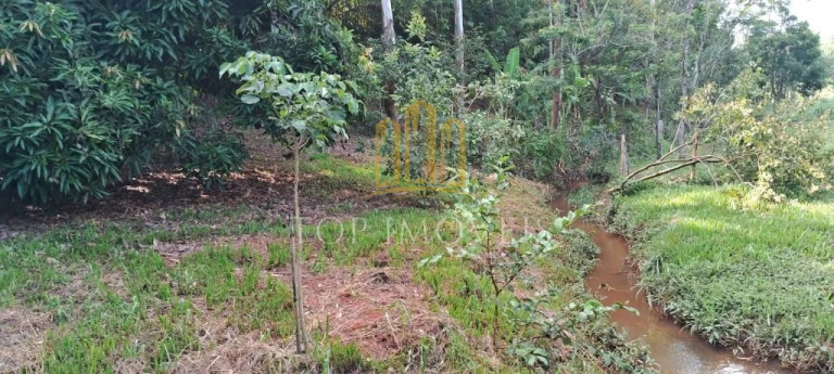 Imagem Chácara com 2 Quartos à Venda, 5.700 m² em Jardim Colônia - Jacareí