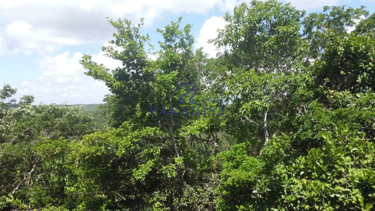 Imagem Terreno à Venda, 2.160 m² em Açu Da Torre - Mata De São João Imagem Terreno à Venda, 2.160 m² em Açu Da Torre - Mata De São João