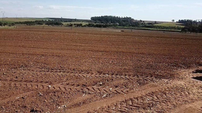 Imagem Fazenda à Venda, 100 m² em Zona Rural - Casa Branca Imagem Fazenda à Venda, 100 m² em Zona Rural - Casa Branca