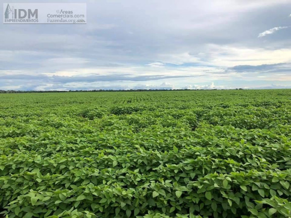 Imagem Chácara à Venda, 390.000.000 m² em Rural - Santa Terezinha Imagem Chácara à Venda, 390.000.000 m² em Rural - Santa Terezinha